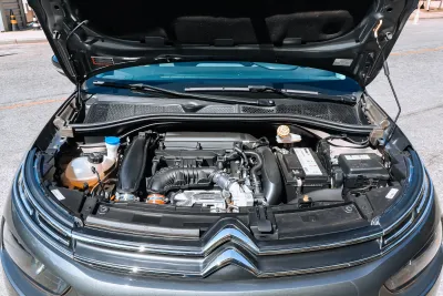 C4 Cactus